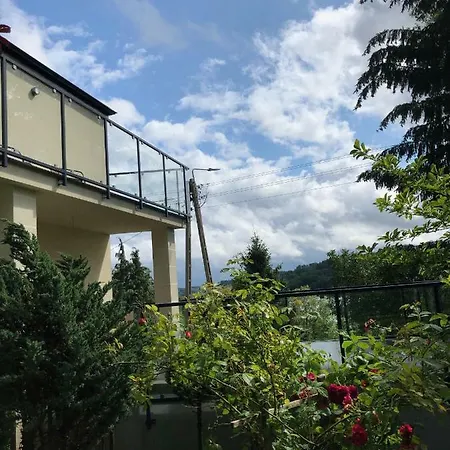 Lejlighed Apartament Na Zielonym Wzgorzu Zawory (Pomerania)